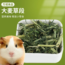 ��ɴ����ݶ�������؈���m�i����������}��ʳ�݌������Ӳ�