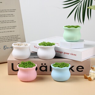 ����Gֲ����ֲ�q��ĭ���ϻ�����滨�b�������[���ֹ�DIY���l