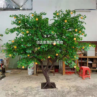 �������Ә���ͷ���Gֲ���^�b����̨�쾰���߼��S�Ә�ˮ����