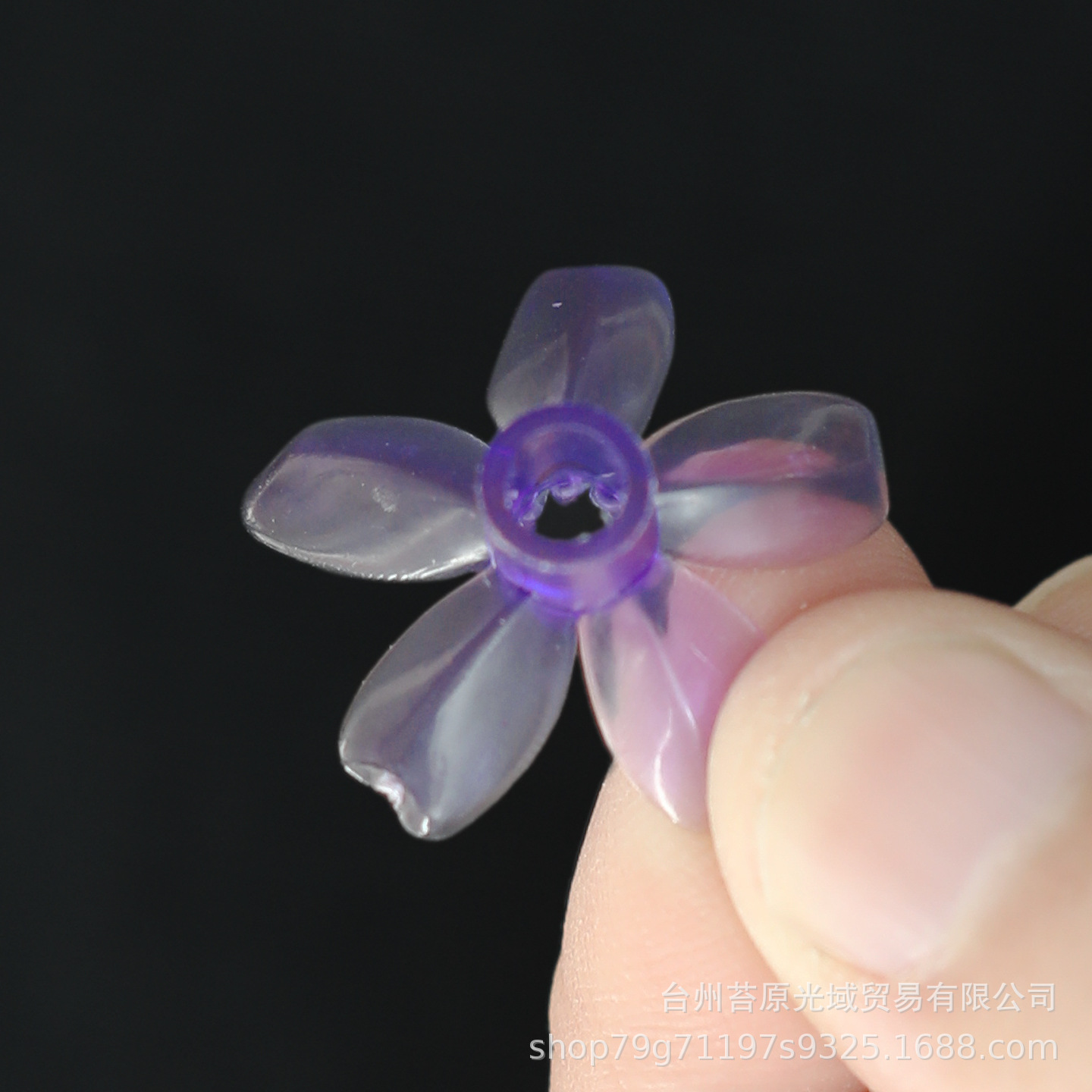 蓝色小樱花6.JPG.jpg