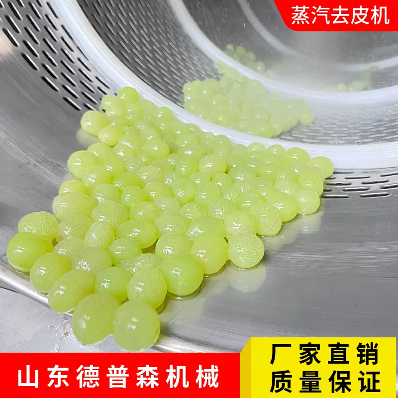 全自动高温软化果蔬外皮设备多功能果蔬纯物理去皮机