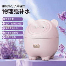 热雾润肤吸收双热喷蒸脸器家用迷你脸部喷雾补水仪办公室加湿器