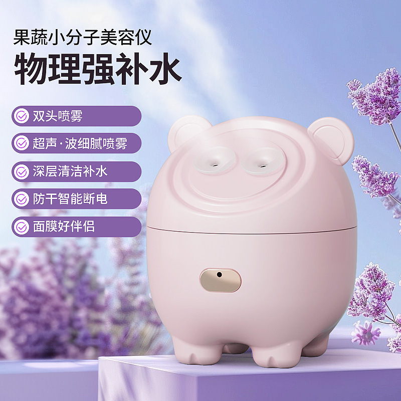 热雾润肤吸收双热喷蒸脸器家用迷你脸部喷雾补水仪办公室加湿器
