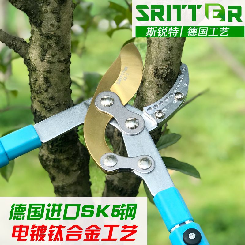 果树修树枝剪刀粗枝剪树枝剪子修枝剪伸缩园艺园林大剪刀