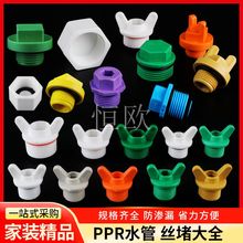 PPR���Ͻz��4��6��1 2��z���^20 �z�������Ϲܶ¹�ñ�����Ȧ