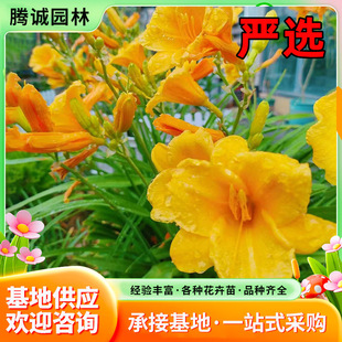 �����޴���ݻ�������m���ļ��׷N�׻�ͥԺ���^����������ذl