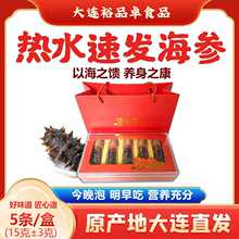 大连淡干速发海参红礼盒5条独立装热水速发辽参干货商务送礼 批发