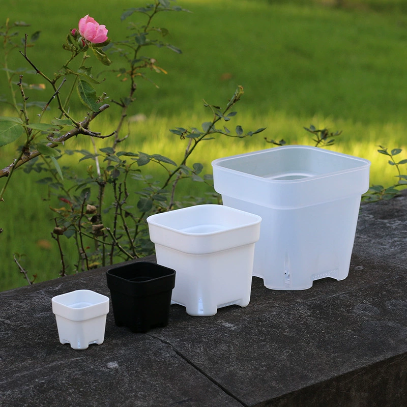 Специально толстый мелкий квадратный горшок пластиковый цветочный горшок мясистый горшок для посадки карликовый рассада горшок мини большой маленький калибр утолщение белый черный