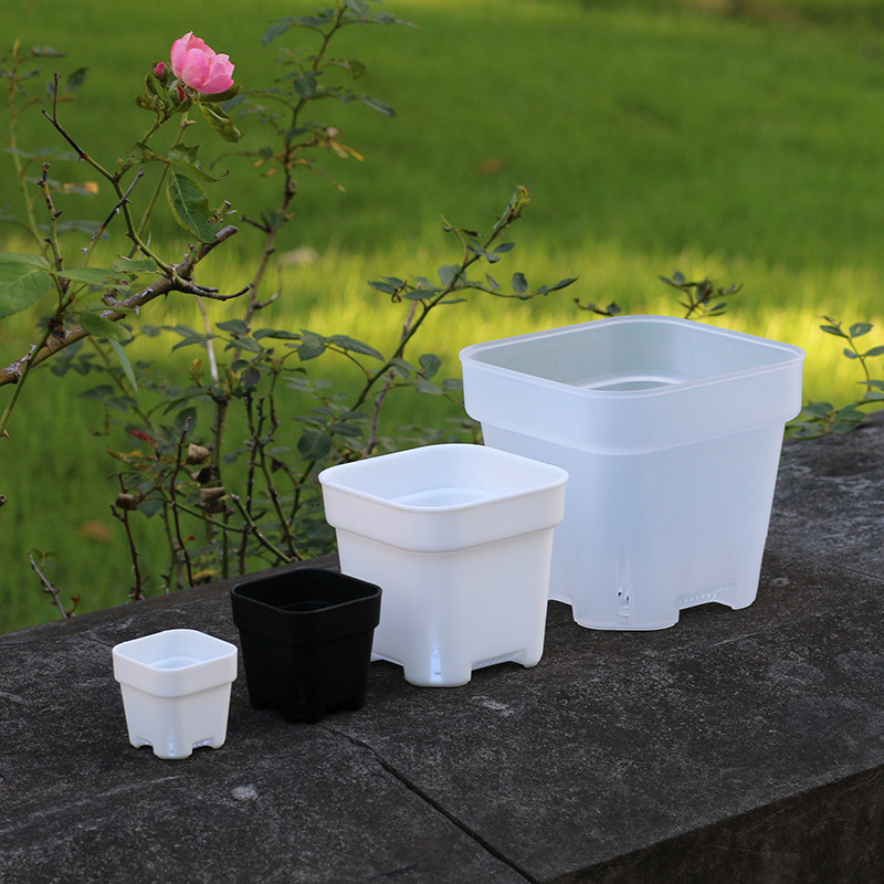 Extra Thick Shallow Square Pot Plastic Flower Pot Fleshy Planting Pot Short Nursery Pot Mini Size Size Thickened White Black