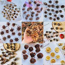 松果创意手工diy材料森系橡果柠檬片松塔幼儿园环创圣诞装垒德株