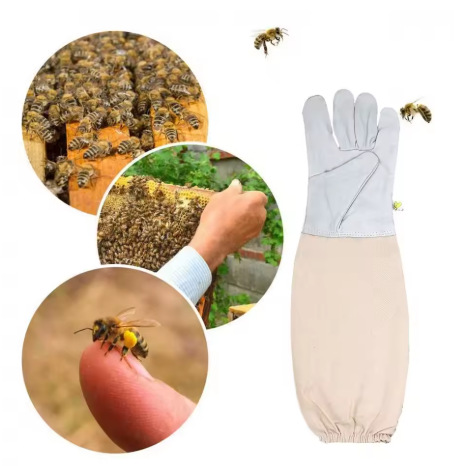 微信图片_20250629122734