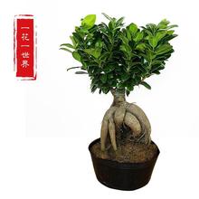 ˅С~ļͺ҃ȶUԾGֲŘ͘䘶辰