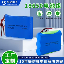 锂电池;其他电池