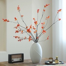 �¿����GֲС���~ ��ʽ�͹��L֦��֦�ټҾ����P�b��S�����l