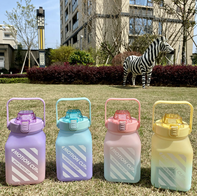 32e5a888-ff5d-478b-9197-2c5a89