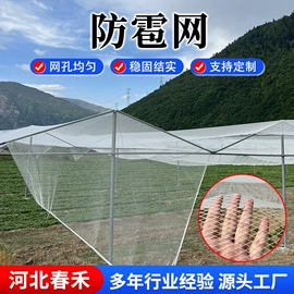 遮阳网;防鸟网;防雹网