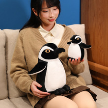 �ɐ۴������Z����ë�q��ߵ����Z��ż��ͯ��鰲�᲼�������նY��