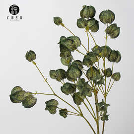 工厂直销 仿真果实灯笼果干花永生花姑娘果 年花红果装饰摆件插花