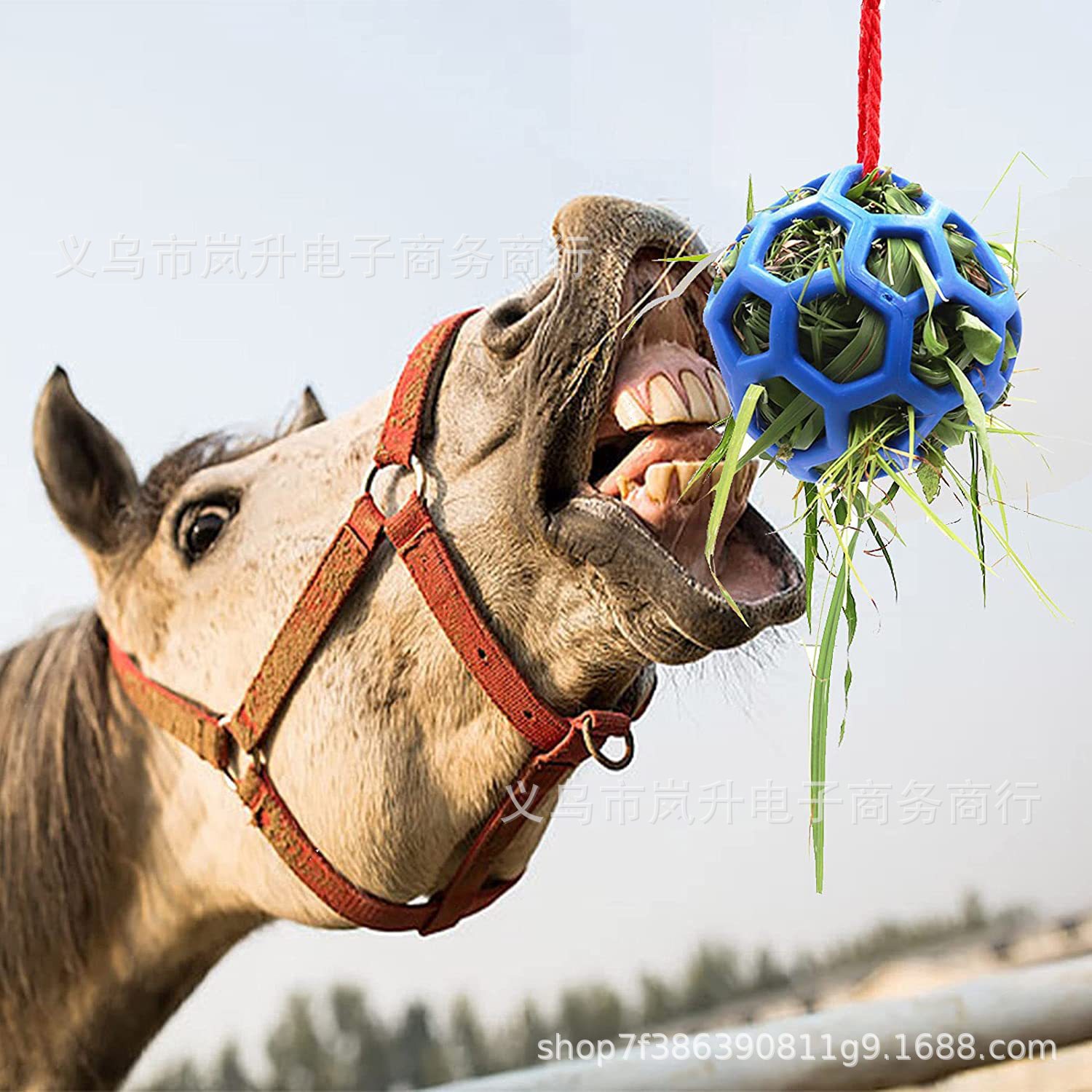 现货 马厩悬挂干草喂食器喂马球 Horse Treat Ball 镂空TPR耐拉伸