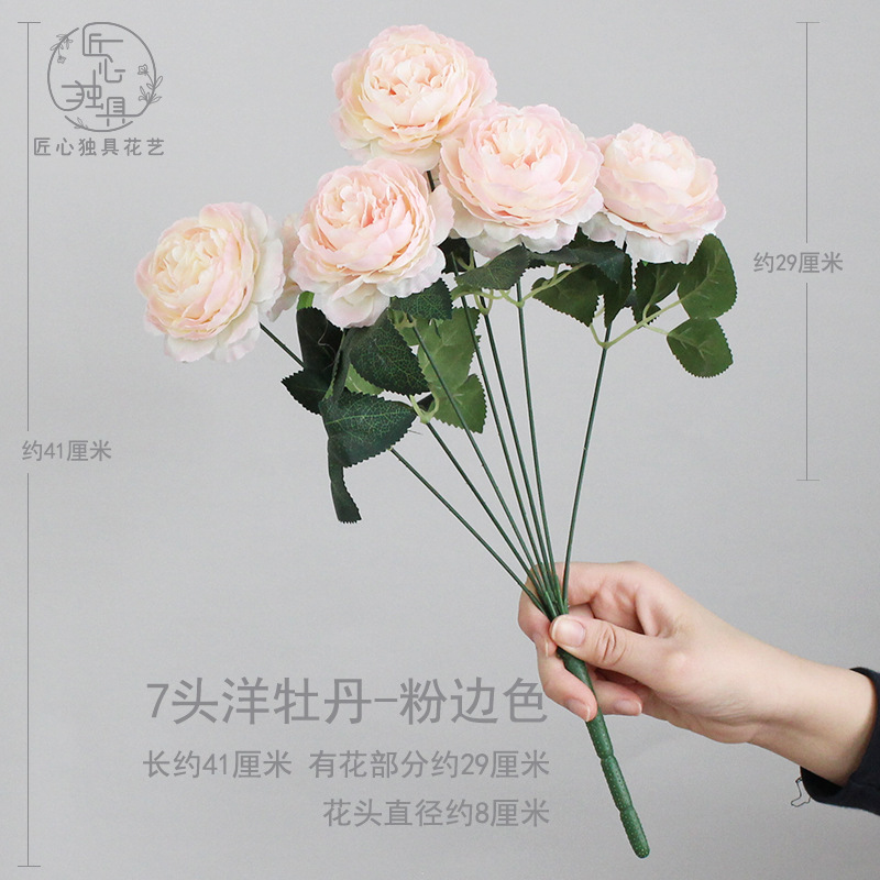 7头洋牡丹-粉边色