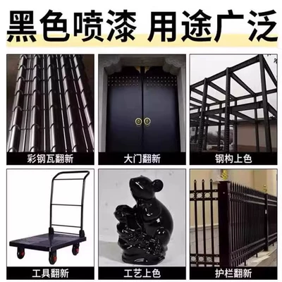 Door Color Steel Tile: Avtomobil boyası