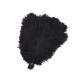 Source factory direct sales thin rod ostrich feather 20-25cm high quality feather diy stage clothing accessories flower arrangement material