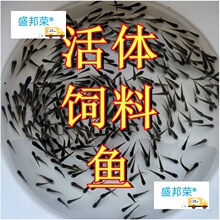 С���������~ι�Z�~���~�Ї����~�~�𻨽����~�|�~�~������~�{��