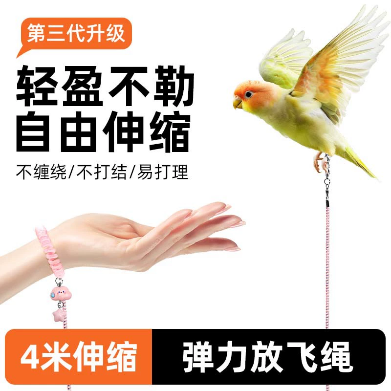 Поводок для птиц на открытом воздухе для волнистых попугаев, неразлучников, корелл и маленьких солнечных птиц, специальная летная веревка для тренировок на открытом воздухе и прогулок с птицами.