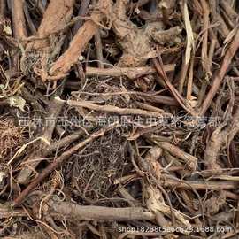 含羞根含羞草根中药材通货有根有枝 每件500克 实物拍摄图片