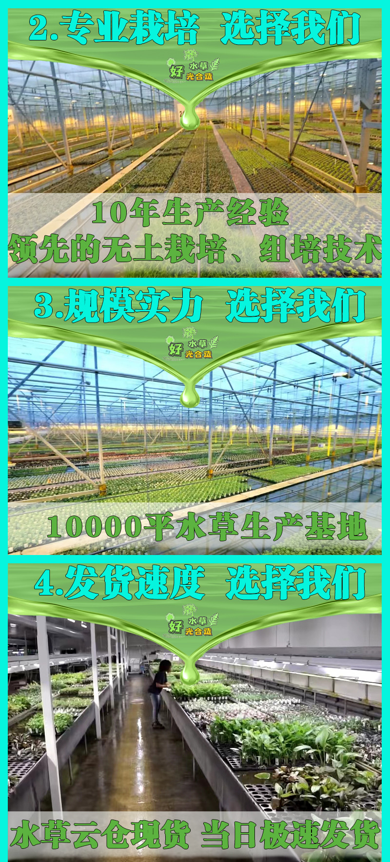 2023详情页六大保_02