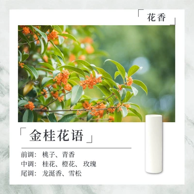 Car Fragrance Replacement Core 10.5*38mm, Compatible with Smart Cockpit Models Using the Harmonyos System (Car Perfume Aromatherapy) - golden-osmanthus-whispers-10538mm