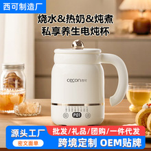 西可养生壶迷你小型一人家用多功能煮茶器办公室宿舍炖煮杯烧水壶