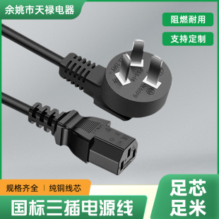 Factory direct national standard three plug tail power cord 3C certification rice cooker host small household appliances plug line 10A