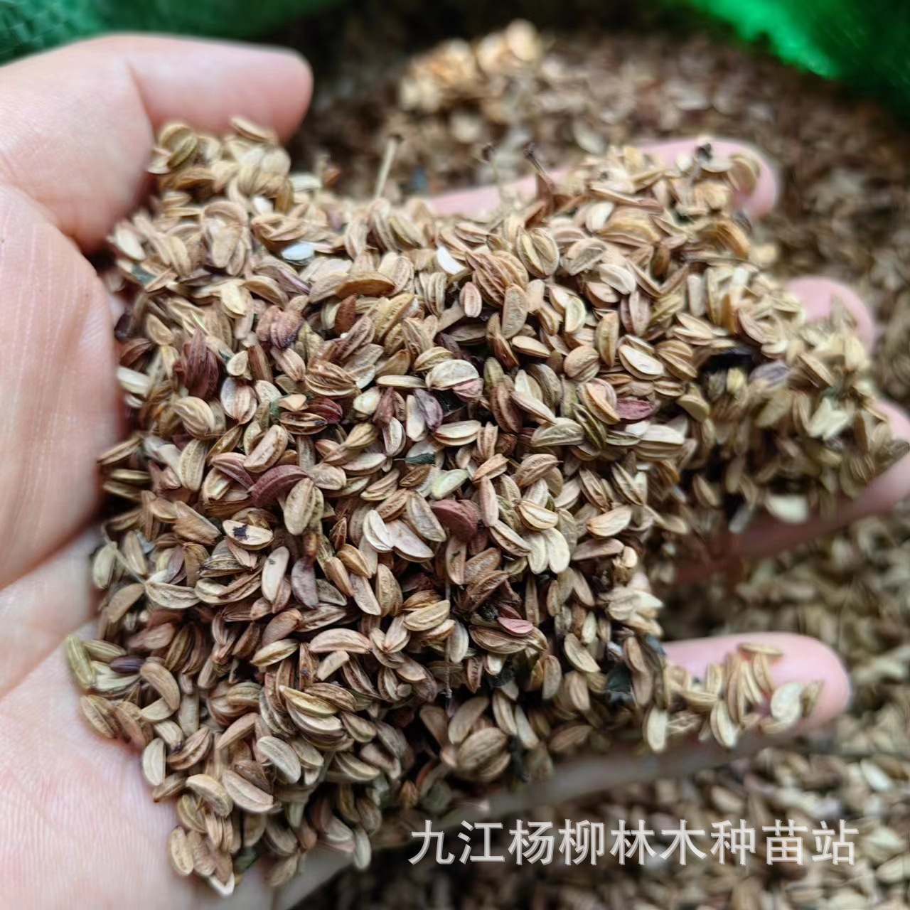 微信图片_20230907152034