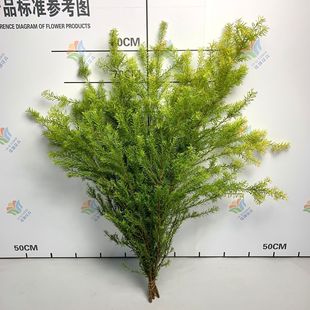 Thousand-Layer Gold Flowers Wholesale Fragrant Pine Gold Fragrant Willow Water-Raised Fresh Cut Branches Wedding Arrangement Flowers and Leaves Wholesale