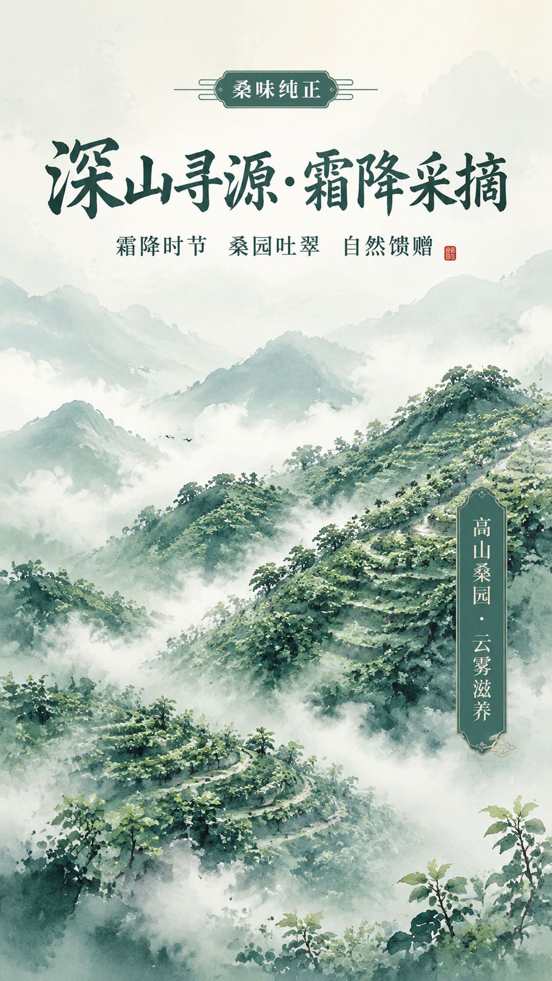 Premium Mulberry Leaf Tea Sang Ye Ye Dried Whole Leaves Loose Herbal Tea 500g specifications
