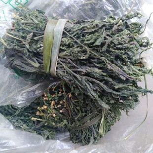 ���㴻ѿ�̲���˛������r��ѿ���㴻ѿҰ����Ұ���㴻�^���㴻