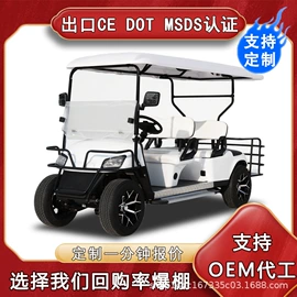 高尔夫球车;电动观光车;其他电动车