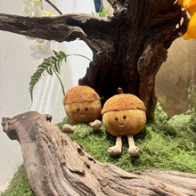 jc�ɐ�������ë�q���В���ë�q����ɹ��Թ���ż���l