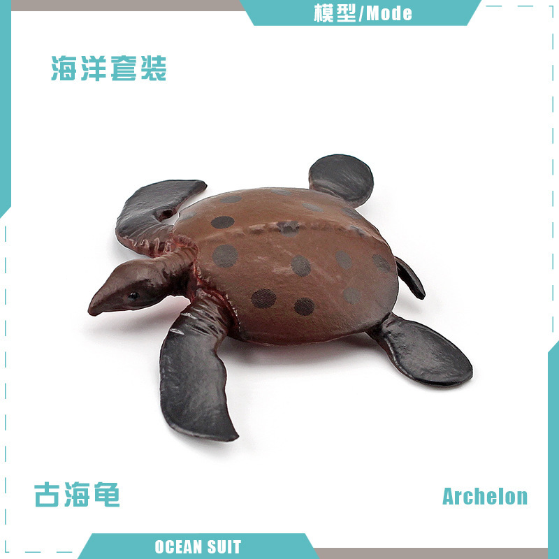 Tortuga antigua BL-5167 6G