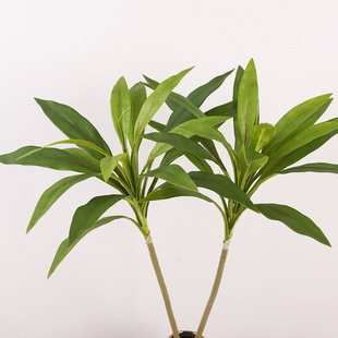 �羳����ֲ����F�~ �҃��b[������������~ ���F�~�����~���l