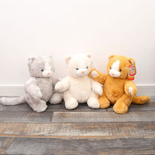 ���������؈����ë�q������l؈�乷����żƤ���Y��Ů���������