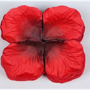 ����1000Ƭ�����b����õ�廨�� �������鷿�ٻ����Y�Y��c��Ʒ