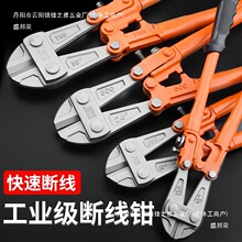 �S��ֱ�N�ྀ�Q���i䓽z�F�z���Q�Ӵ����Ɖ����������z����ʡ��