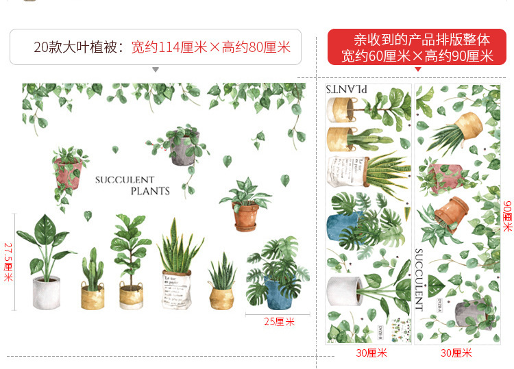 大叶植被20
