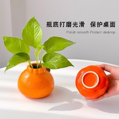 水耕花瓶オレンジ水栽培ポトスフラワーデバイスリビングルームオフィス装飾デスクトップ装飾品水耕植木鉢水栽培ボトル