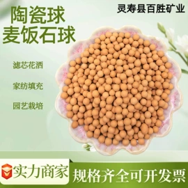 其他非金属;非金属粉末;硅藻土