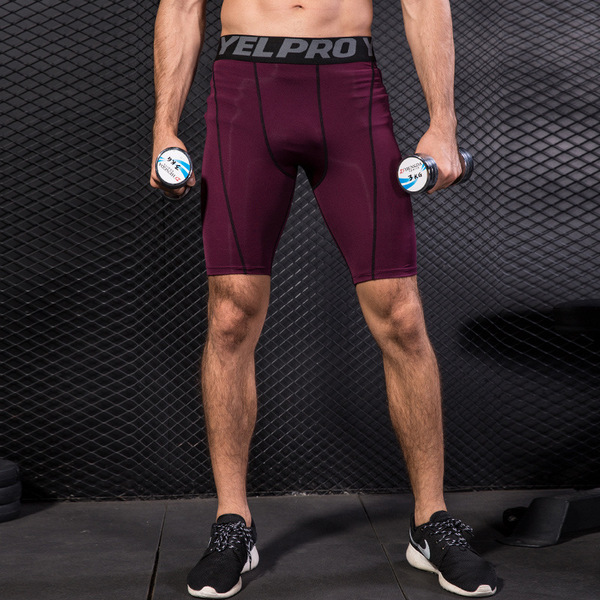 Sports breathable quick dry elastic shorts for gym for training