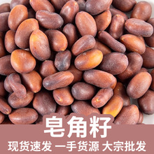 ������ ������ �������� ���v��N�� �i����������؛ �������l