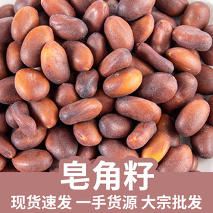 ������ ������ �������� ���v��N�� �i����������؛ �������l